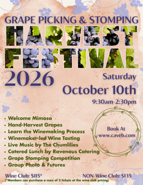 Join us for one of the most fun days of the year. Our annual tradition of our Grape Picking & Stomping Harvest Festival starts in our Piazza where we hand you a mimosa, a bucket and pruners. We then walk as a big group to a ripe Cave B vineyard to hand harvest grapes for about 60-75 minutes, which is a neat experience and a great time. We then walk to the production facility so you can see how we sort and process the grapes you just picked to process into wine. Winemaker Freddy explains the wine making process, fermentation, yeast additions etc. You can even try your hand at a "punch down"! Wine and charcuterie will be enjoyed. We then head to a winemaker led wine tasting where all your wine questions can be answered. After that engaging tasting we walk back to the Piazza for live music and a delicious catered lunch. This is followed by our Grape Stomping Competition. This is a fun; feel good competition and prizes are awarded for the winners of each of the 3 heats. We have a wine club member heat, a non-member heat and a kid's heat. It is a barrel of laughs, and you don't want to miss it! We do tend to sell out fairly quickly so spread the word, tell your friends, family and co-workers and buy your tickets today. Tickets are NOT sold in the tasting rooms. They are only sold online here. Click on the poster for the link to the online store or click the link below. **Please note that each Cave B Wine Club member can only buy TWO tickets at the reduced ticket price per membership. We highly encourage you to bring friends, but they do need to purchase their ticket at the non-wine club member pricing.